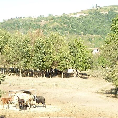 Monastero Bormida Il Grappolo In Langaヴィラ エクステリア 写真